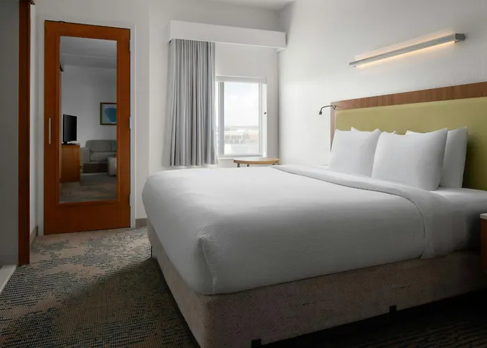 Springhill Suites By Marriott Charleston Mount Pleasant